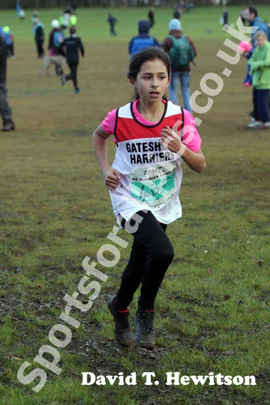 Green 435 Start First North East Harrier League,  Jarrow.